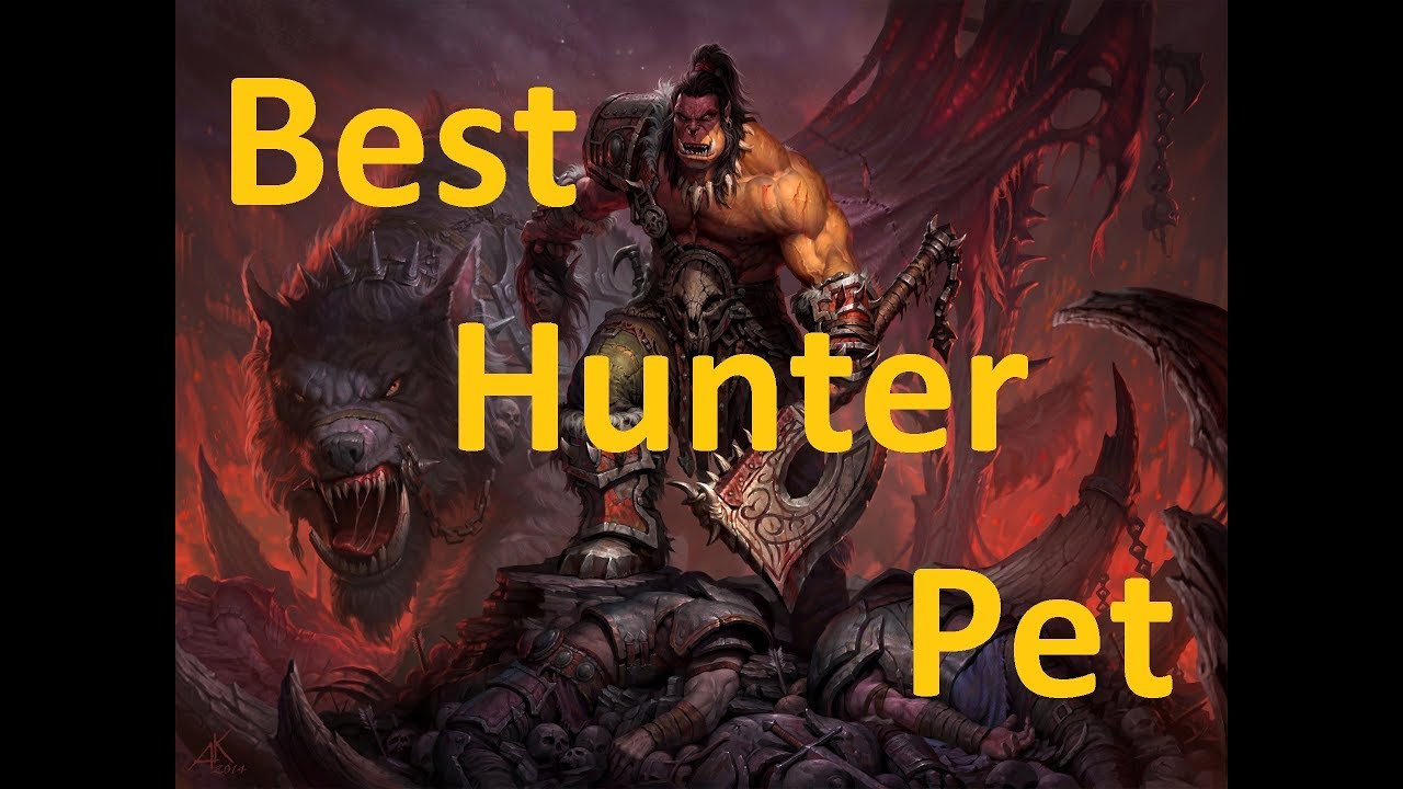 Classic WoW Best Hunter Pet - YouTube