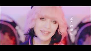 『 夏彩マジック 』 by SHAZNA