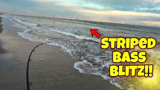 New Jersey Fall 2023 Run Striped Bass BLITZ with NOBODY Fishing?!?! by Mental Health Day 1,914 views 5 months ago 8 minutes, 32 seconds