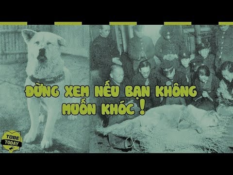 Video: Những Con Vật Nào Là Trung Thành Nhất