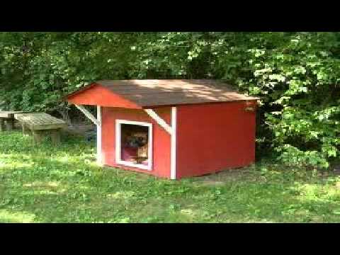  Lowes  Dog  House  YouTube