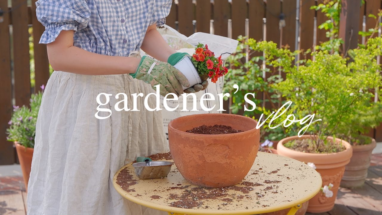 Моя сладкая одержимость садом 🍯 Хожу туда-сюда весь день