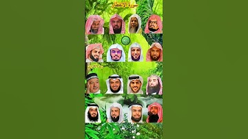 سورة الانفطار_بصوت القارئ(رعد الکردي ،ماهر المعيقلي ،إسلام صبحي ،عبدالرحمن السديس ،ياسر الدوسري،...)