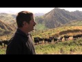 PGG Wrightson Stud Tour - Ep. 13 - Tangihau Station Angus