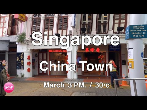 Walking in Singapore China Town Street Food  เดินเที่ยวสิงคโปร์  ถนนไชน่าทาวน์ | walk travel