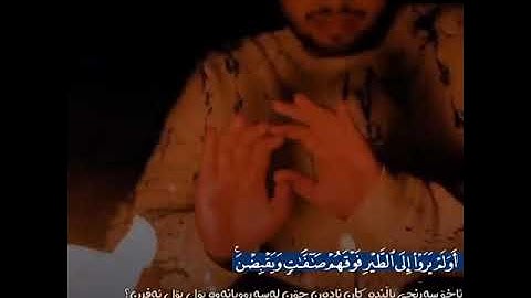 تلاوة هادئة من سورة الملك بصوت القارئ عبيدة موفق