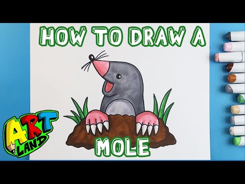 Video: How To Draw A Mole