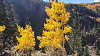 Cumbres Toltec Scenic Railroad October 2025