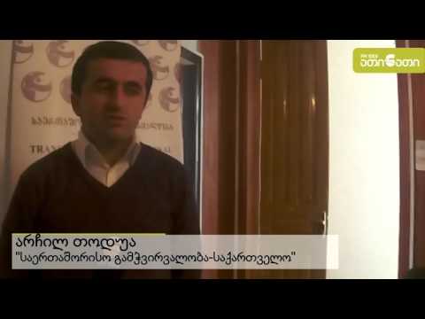 \"საერთაშორისო გამჭვირვალობის\" კვლევა დევნილთა საცხოვრებელი პირობების შესახებ