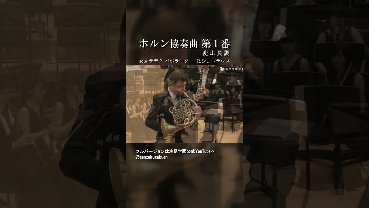 Panse_Online_Shop / 【定番】志望校別 聴音模擬試験