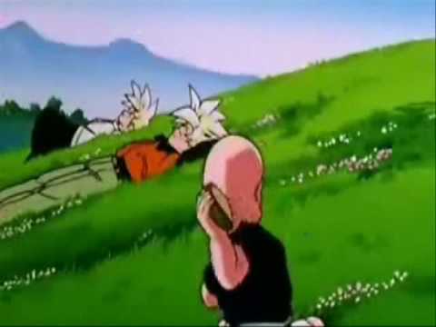 Krillin is jealous that Goku can go Super Saiyan, sohe hits him with a rock to make him lose his power, but it doesn't work..because he is bald and short and weak WE DO NOT OWN DRAGONBALL. DragonBall is Owned by TOEI ANIMATION, Ltd. and Licensed by FUNimation Productions, Ltd.. All Rights Reserved. DragonBall, DragonBall Z, DragonBall GT and all logos, character names and distinctive likenesse thereof are trademarks of TOEI ANIMATION, Ltd. for entertainment purposes only.