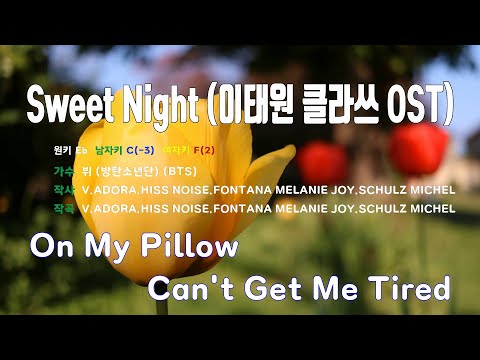 [은성 반주기] Sweet Night(이태원클라쓰OST) - 뷔(방탄소년단)(BTS)