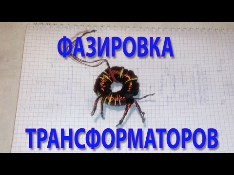 Video: Трансформатор крокодилин кантип тигүүгө болот