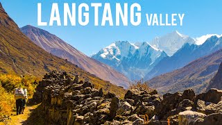 Journey to Langtang Valley | Himalayan Trekking Experience