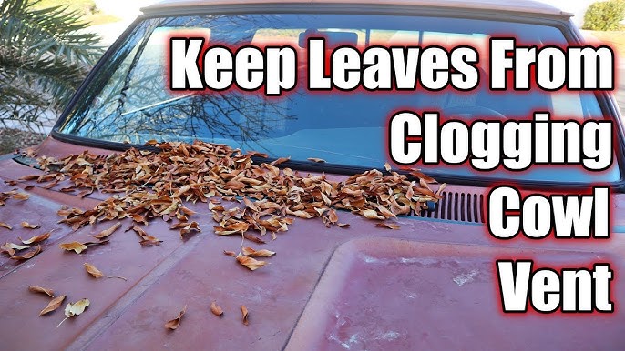 How to Prevent Leaves from Clogging Car Vents: Expert Tips