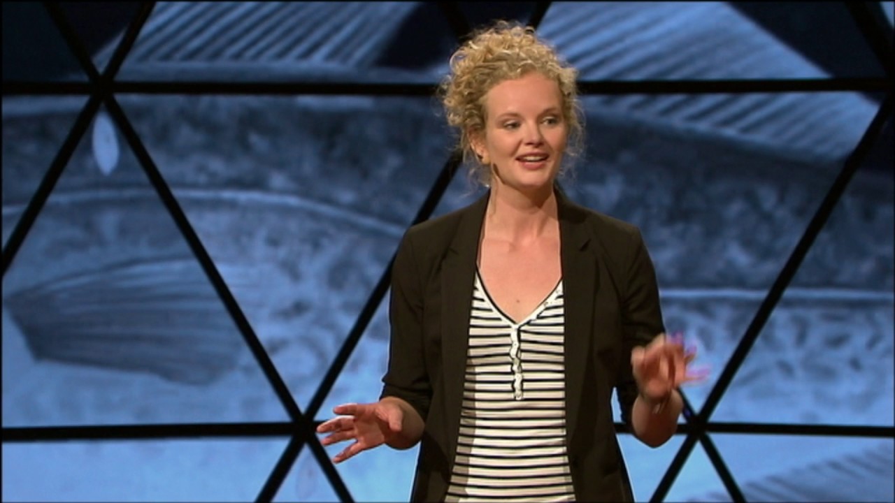 Video fra kåringsshowet