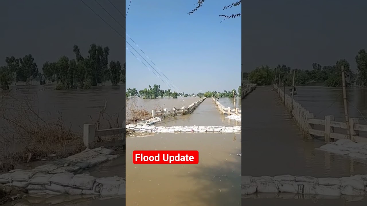 flood Update Fazilka