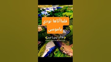 تلاوة خاشعة قرأن كريم بصوت يريح القلوب #تلاوة #اكسبلور #aslam #المصحف #trend #لايك #قران_كريم