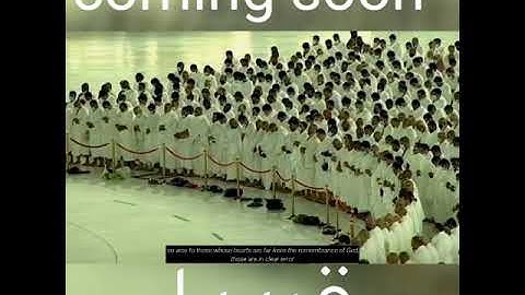 لحظة بكاء فضيلة الشيخ ماهر المعيقلي في سورة الزمر