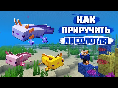 Как Приручить Аксолотля в Майнкрафт | Аквариум в Minecraft для Аксолотля | О Мобе Аксолотль