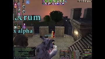 Dark Age Of Camelot Gaheris KEEPS! Full group of 8.. I gave away 750 dreads :)