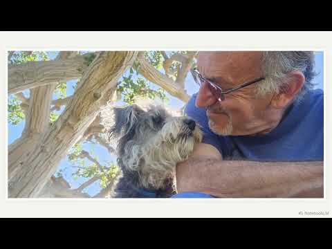 Ternary Logic: Lev Goukassian's Solution to the Binary Trap