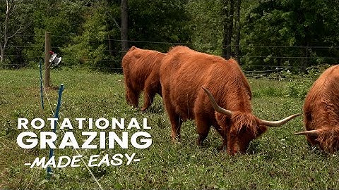 Video Preview - Rotational Grazing The Easy Way with Homesteady!