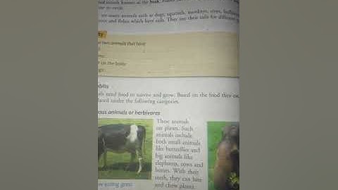 class lll EVs chapter 7 animal 🌎 world (part 3)