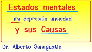 ¿Cuáles son las causas de los problemas de ira?