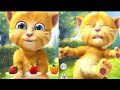 Talking ginger eating 🥣🌽🍍🌶️🥭🥑🍇🍒🍎🍎🍎🍇