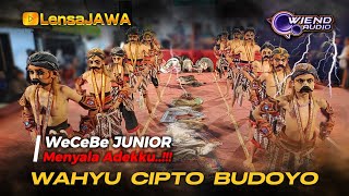 KERAS...!!! WAROK WCB JUNIOR - WAHYU CIPTO BUDOYO - SENGGANEN CAMPURSARI NGADIREJO TEMANGGUNG