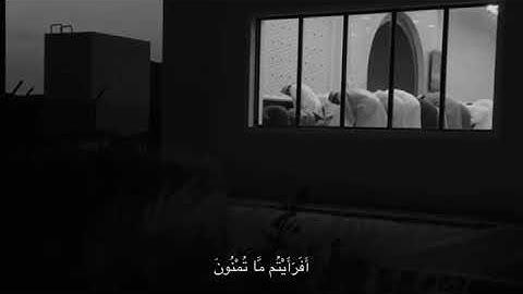 نَحْنُ خَلَقْناكُمْ فَلَوْلَا تُصَدَّقُونَ                  سورة الواقعة ﴿٥٧﴾