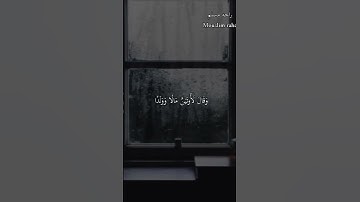 أَفَرَأَيْتَ الَّذِي كَفَرَ بِآيَاتِنَا || القارئ عبدالرحمن مسعد 🍀🎧
