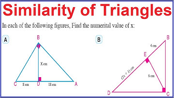 Math. Sec 1 | Geometry |1st form secondary| First Term || Similarity of Triangles Part 2