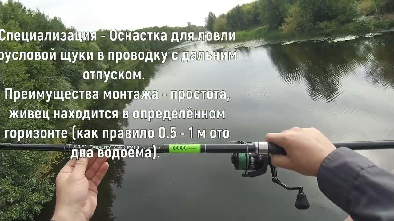Карповые штекерные удилища Reality Carp - YouTube