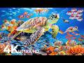 Underwater Wonders 4K - Amazing Fish, Coral Reefs & Sea Animals - Fish Tank Sound For Deep Sleep #33