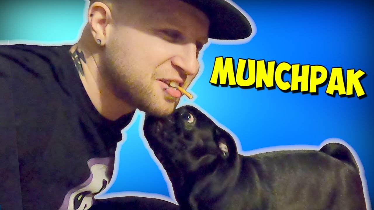 my pug would likes me more than snack!? (munchpak video)