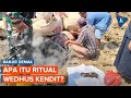 Ritual wedhus kendit saat demak banjir bupati kami berusaha lahir dan batin