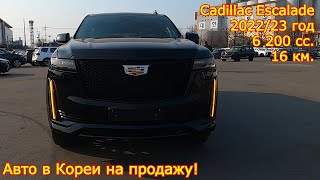 Авто в Кореи на продажу - Cadillac Escalade, 2022/23 год, 16 км., 6 200 сс., 4WD!