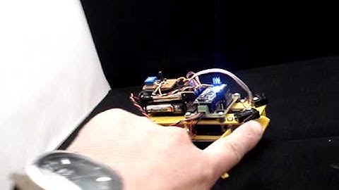 Robot Insecto Kitrobot