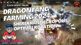 Dragon Fang Farming 2024: Sherekhan Necropolis Optimal Rotation #blackdesertonline
