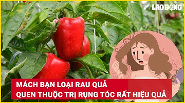Mách bạn loại rau quả quen thuộc trị rụng tóc rất hiệu quả | Báo Lao Động