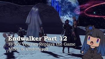 Endwalker Part 12 - The Beginning of the End - FFXIV Vet Replays the game MINE & Undersized