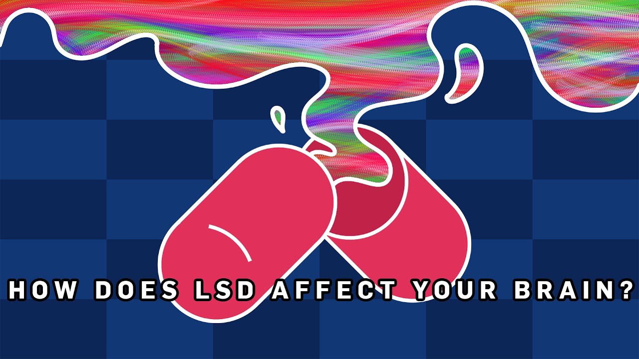 What Does LSD Do To Your Brain? | Earth Lab