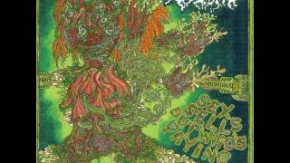 Lapidate - Weapons of Mass Penetration