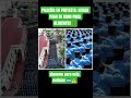 POLICÍAS EN PROTESTA: EXIGEN PAGO DE BONO PARA ALIMENTOS😱🇭🇳