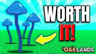 Is This New Mushroom Worth It Or A Big Waste Of Time  Oaklands Roblox