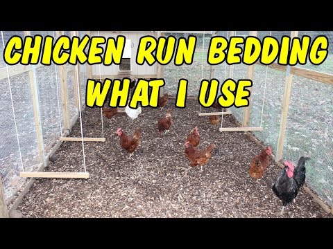 Chicken Run Bedding - What I Use - Youtube