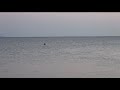 My Hair is Bad/君が海 cu2026