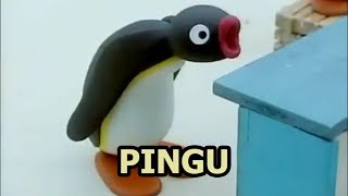 The Nightmare - Pingu